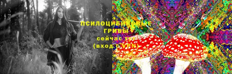 Галлюциногенные грибы MAGIC MUSHROOMS  Кимры 